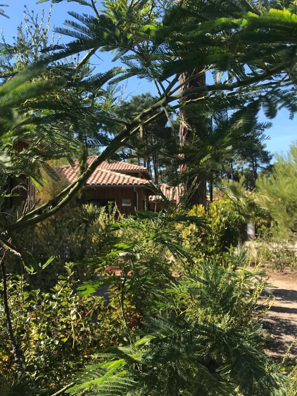 Domaine Du Ferret Restaurant & Spa Lège-Cap-Ferret Exterior foto